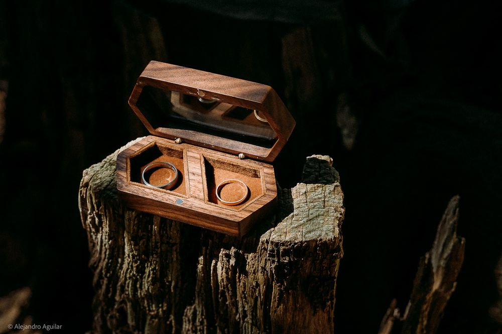 Rustic wooden ring box with two wedding bands displayed open on a tree stump in a dark forest setting.