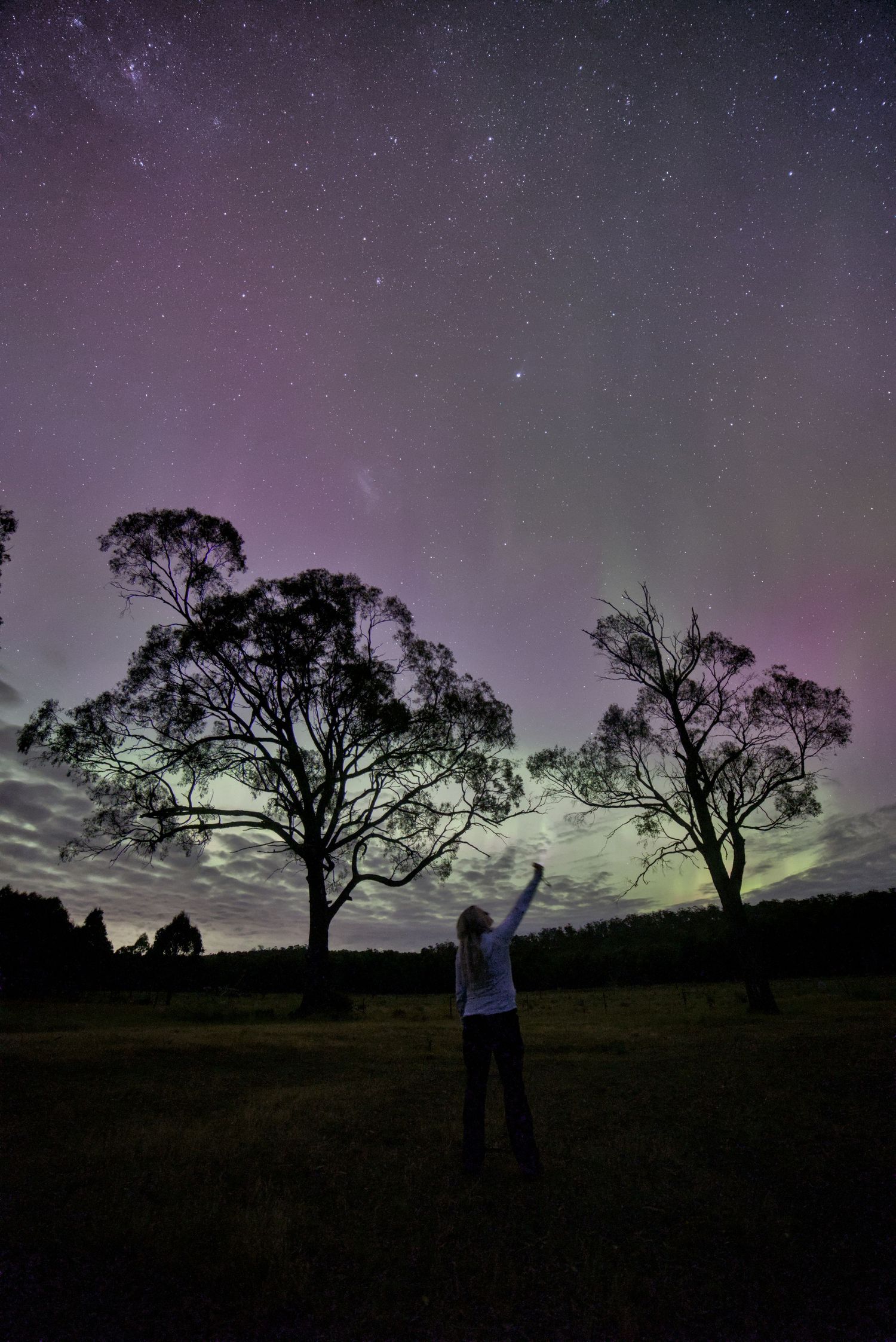 Person leaning on car watching vibrant green and purple aurora borealis light up the night sky over a rural landscape.