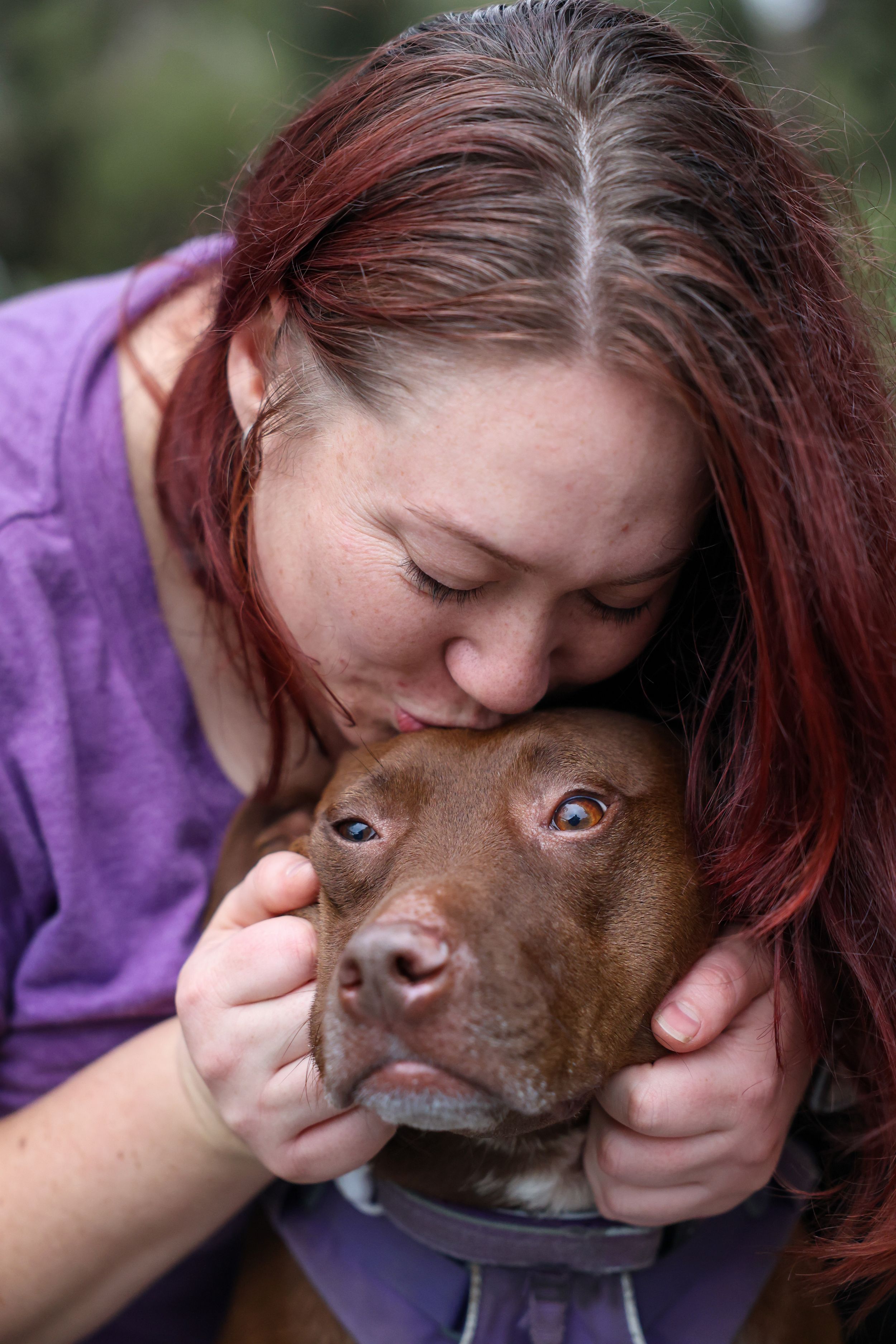 Woman with red hair in purple shirt kissing brown pit bull dog on head while holding its face gently.