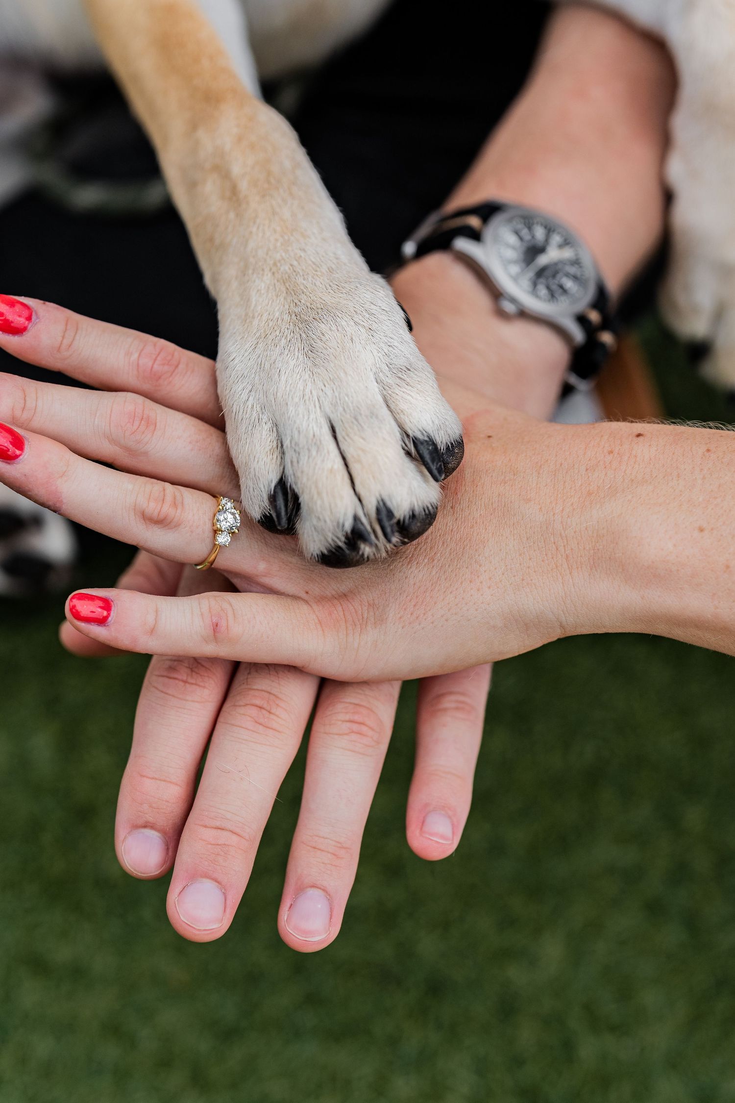 A dog's paw gently rests on a person's hand with pink nail polish in a series of connected photos.