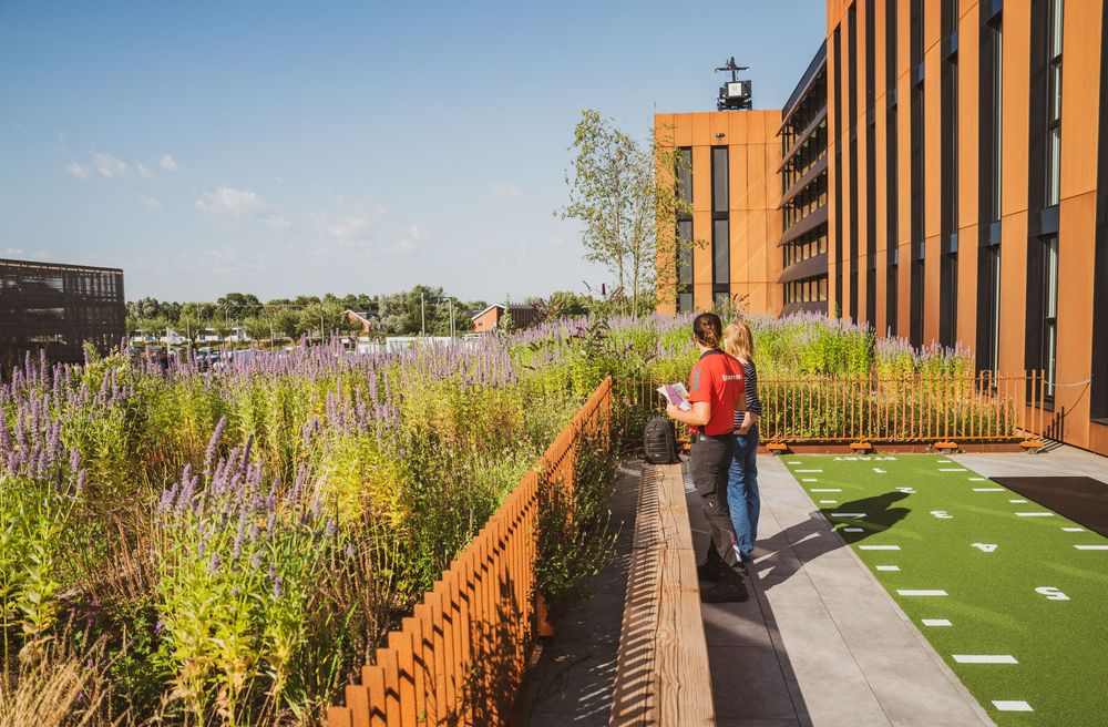 Person walking along a rooftop garden path with colorful wildflowers beside a modern brick building on a sunny day.