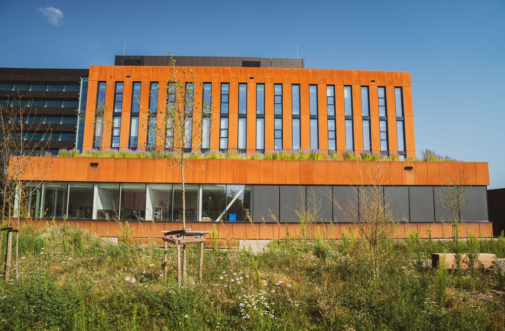 Modern orange brick office building with large windows surrounded by lush green wildflowers and trees under a clear blue sky.