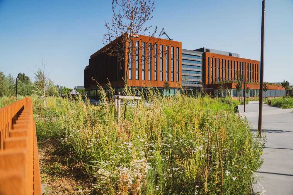 Modern rust-colored office building surrounded by wildflower gardens and native landscaping under a clear blue sky.