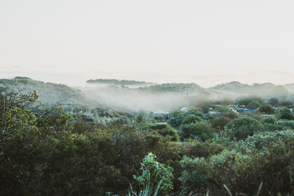 Misty green hills covered in lush vegetation with fog rolling through the valley on a calm, overcast morning.