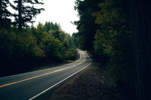 Winding two-lane road curving through dense green forest on a dark overcast day.