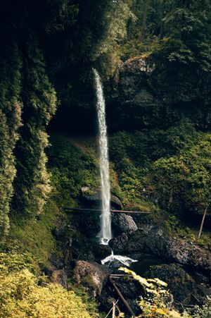 A tall narrow waterfall cascades down a lush green mossy cliff into rocks below.