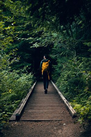 A hiker with a yellow backpack walks along a wooden bridge through a lush green forest.
