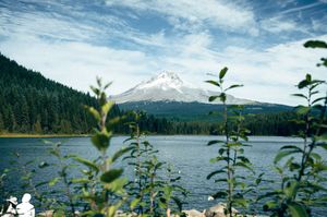 Mount Hood reflected near Trillium Lake surrounded by evergreen forest under blue sky.