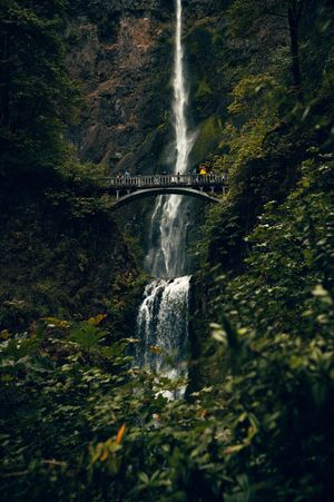 Multnomah Falls cascading down lush green cliffs with a historic stone bridge spanning the waterfall in Oregon.