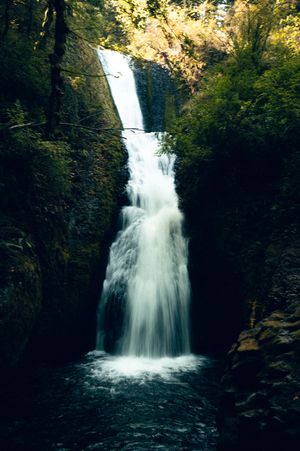 Tall cascading waterfall flowing through lush green forest gorge with moss-covered rocks in Pacific Northwest.