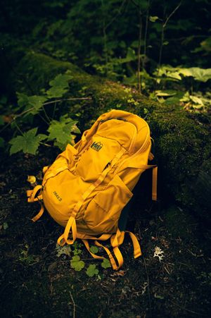 Yellow REI hiking backpack resting against a mossy log in a lush green forest setting.