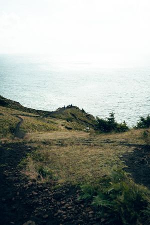 A winding trail leads to a dramatic coastal overlook with sweeping ocean views on the Oregon coast.