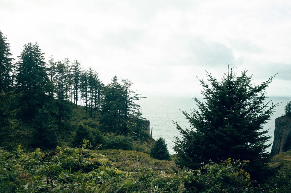 Oregon Coast Road Trip Travel Photography by Carl James. Best things to do on your next road trip down the coast!