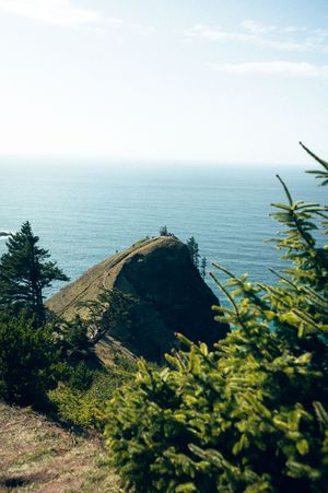 Oregon Coast Road Trip Travel Photography by Carl James. Best things to do on your next road trip down the coast!