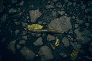 Oregon Coast Road Trip Travel Photography by Carl James. Best things to do on your next road trip down the coast!