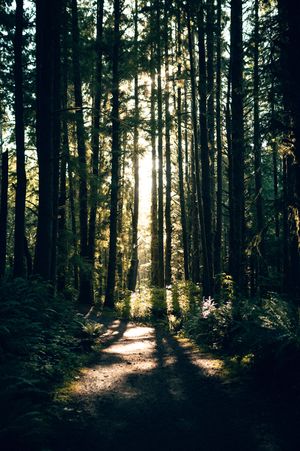 Oregon Coast Road Trip Travel Photography by Carl James. Best things to do on your next road trip down the coast!