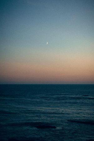 Oregon Coast Road Trip Travel Photography by Carl James. Best things to do on your next road trip down the coast!