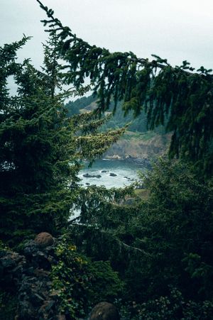 Oregon Coast Road Trip Travel Photography by Carl James. Best things to do on your next road trip down the coast!