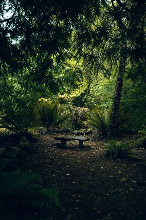 Oregon Coast Road Trip Travel Photography by Carl James. Best things to do on your next road trip down the coast!