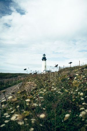 Oregon Coast Road Trip Travel Photography by Carl James. Best things to do on your next road trip down the coast!