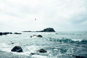 Oregon Coast Road Trip Travel Photography by Carl James. Best things to do on your next road trip down the coast!