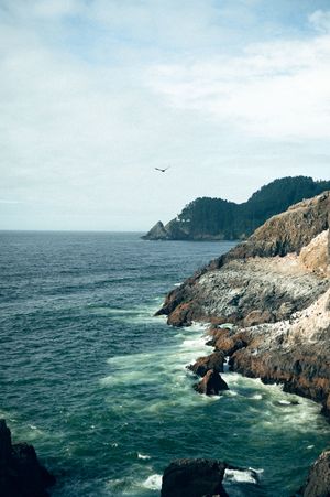 Oregon Coast Road Trip Travel Photography by Carl James. Best things to do on your next road trip down the coast!
