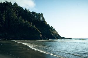 Dense evergreen forest meets sandy beach shoreline with gentle ocean waves along the Oregon Pacific coast.