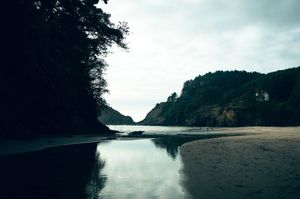 A serene coastal inlet with calm reflective water flanked by dark forested cliffs and a sandy beach on a cloudy day.
