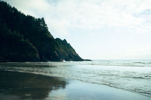 A misty beach with dark sand, gentle ocean waves, and a dramatic tree-covered rocky headland under a cloudy sky.