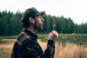 Bearded man in flannel shirt blowing a dandelion in a field with pine trees behind him.