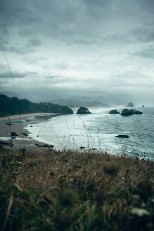 An overcast moody coastal panorama shows sea stacks and sandy beach from a grassy overlook.
