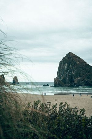 Iconic Haystack Rock at Cannon Beach Oregon seen through coastal grass under dramatic cloudy skies.
