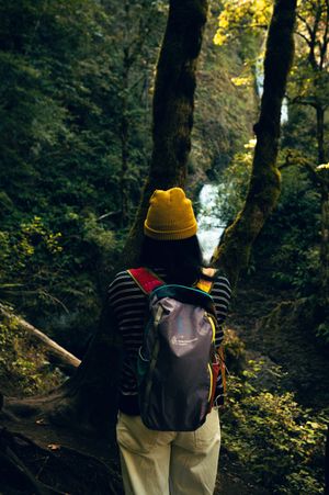 Hiker with yellow beanie and backpack exploring lush green forest trail near waterfall.