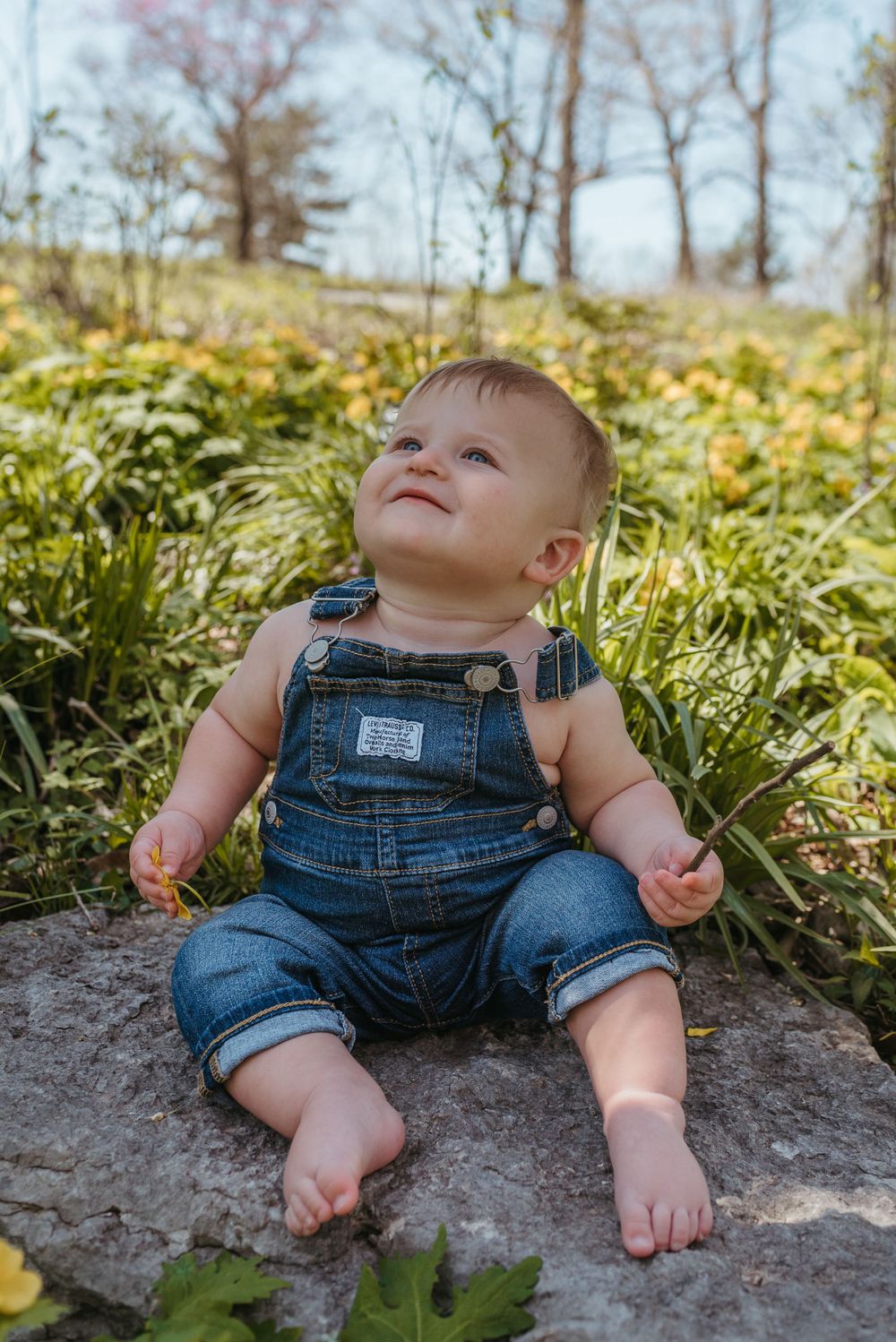 Small child in denim overalls sits on rock surrounded by yellow wildflowers.