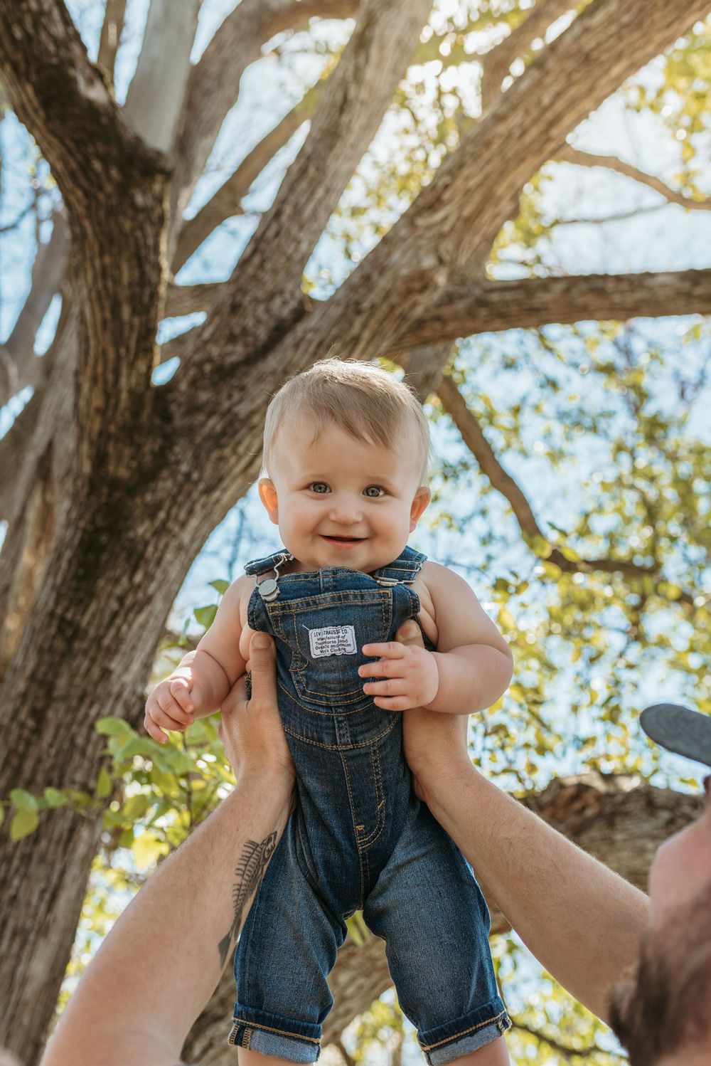 Baby wearing denim overalls held up against tree branches in sunlight.