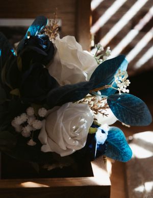 White roses and blue leaves create an elegant floral arrangement cast in dramatic window light and shadows.