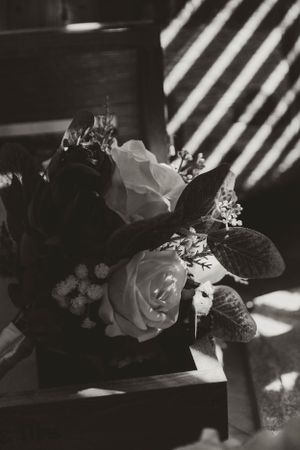 Black and white photo of roses and flowers with dramatic diagonal lighting.