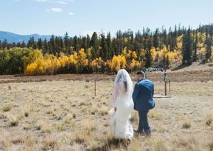 A couple walks through a mountain meadow with golden aspens and evergreens in the distance.