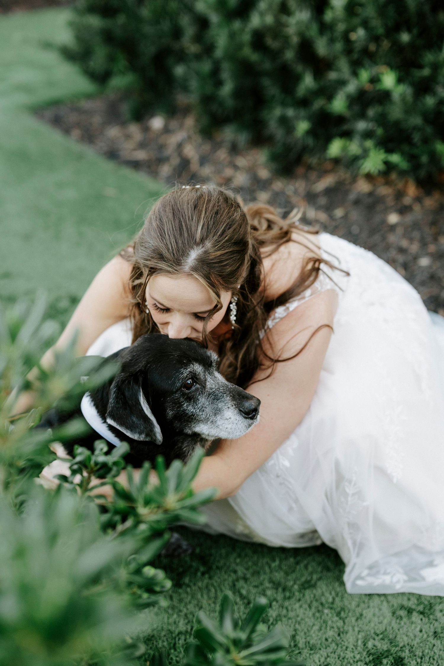 A tender moment captured between a person in a white dress and their senior black and white dog in a garden setting.