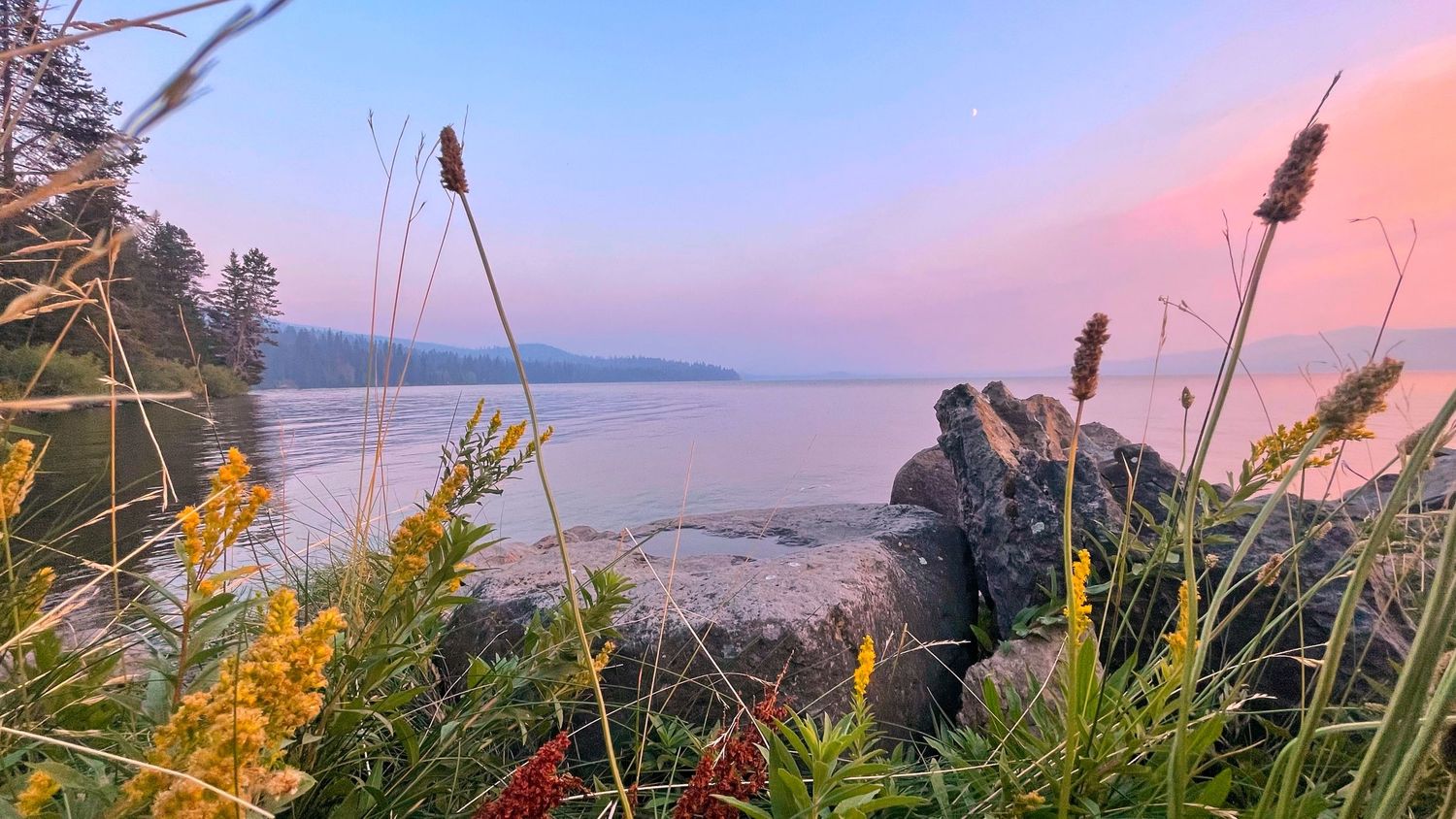 Silhouetted cattails against a pastel sunset sky over a tranquil mountain lake landscape.