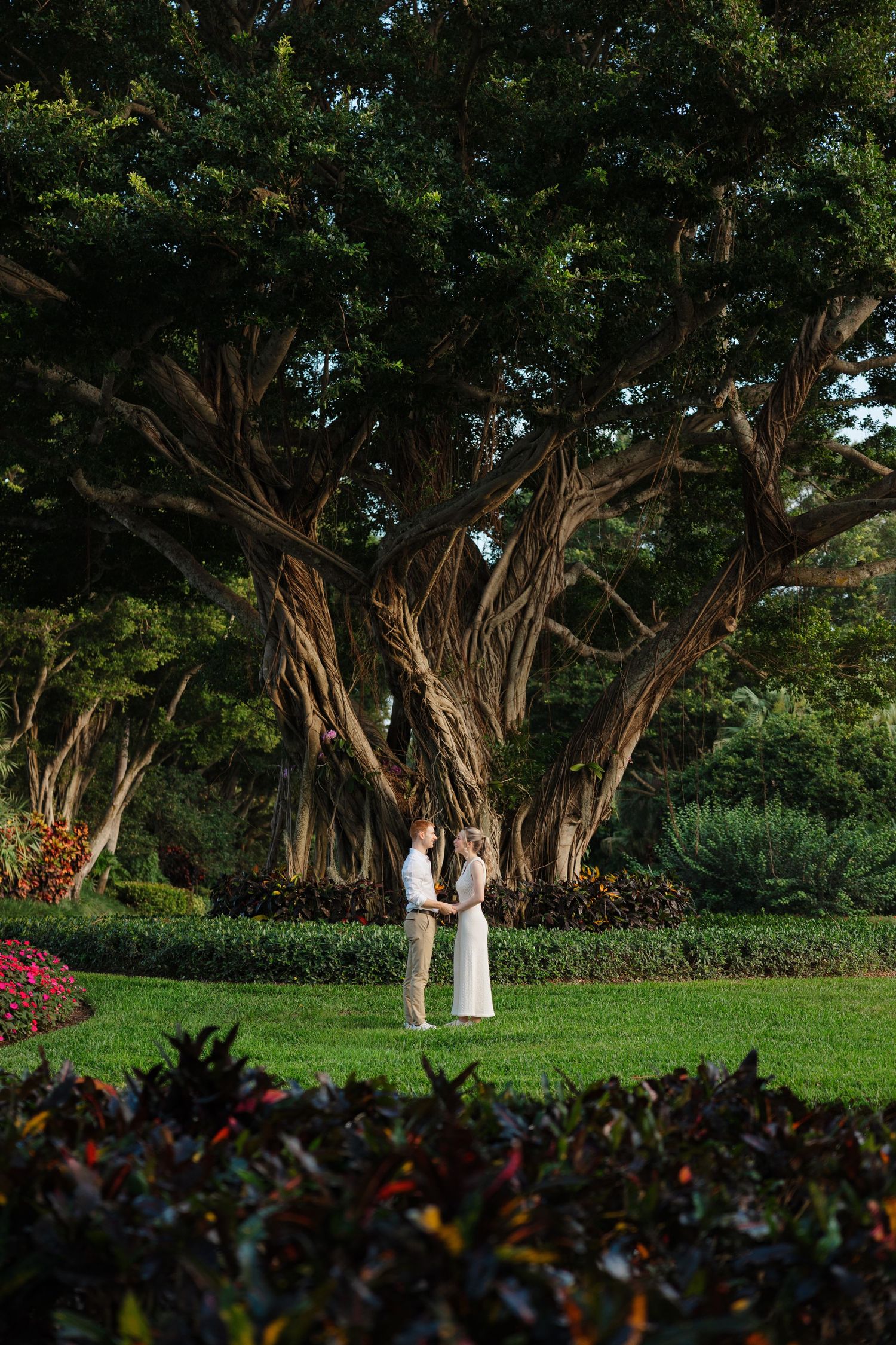 Engaged couple under Banyan tree night before their Palm Beach wedding photographed by Tom Forrest Photography from Hudson, Ohio.