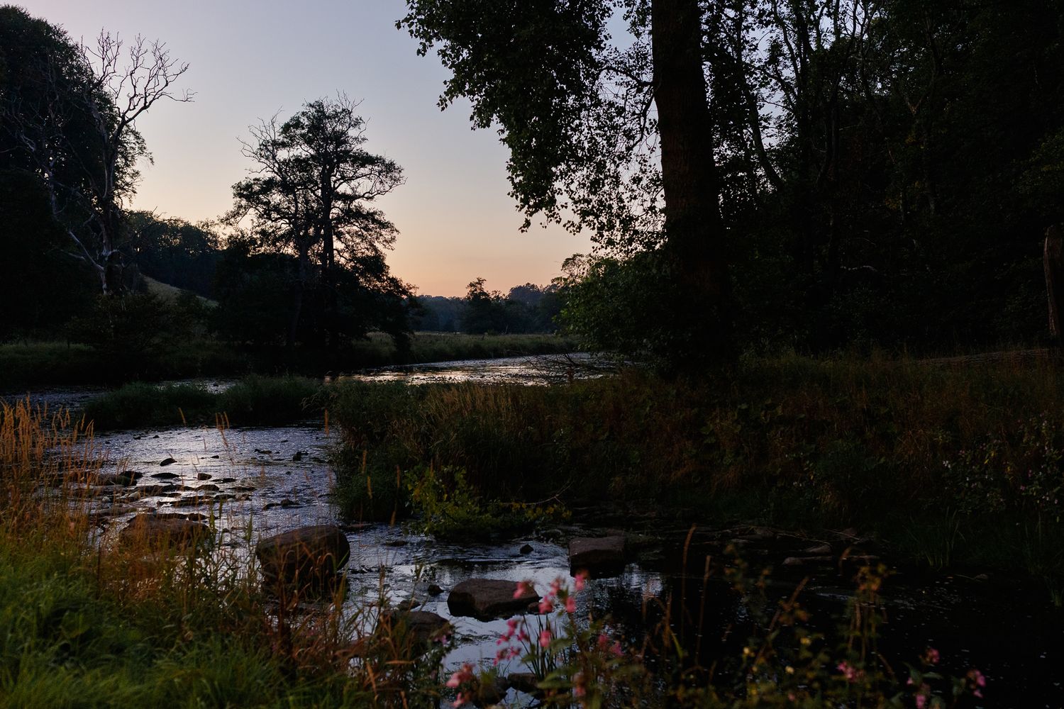 Scenic river landscape at sunset with silhouetted trees and calm waters reflecting the evening sky.