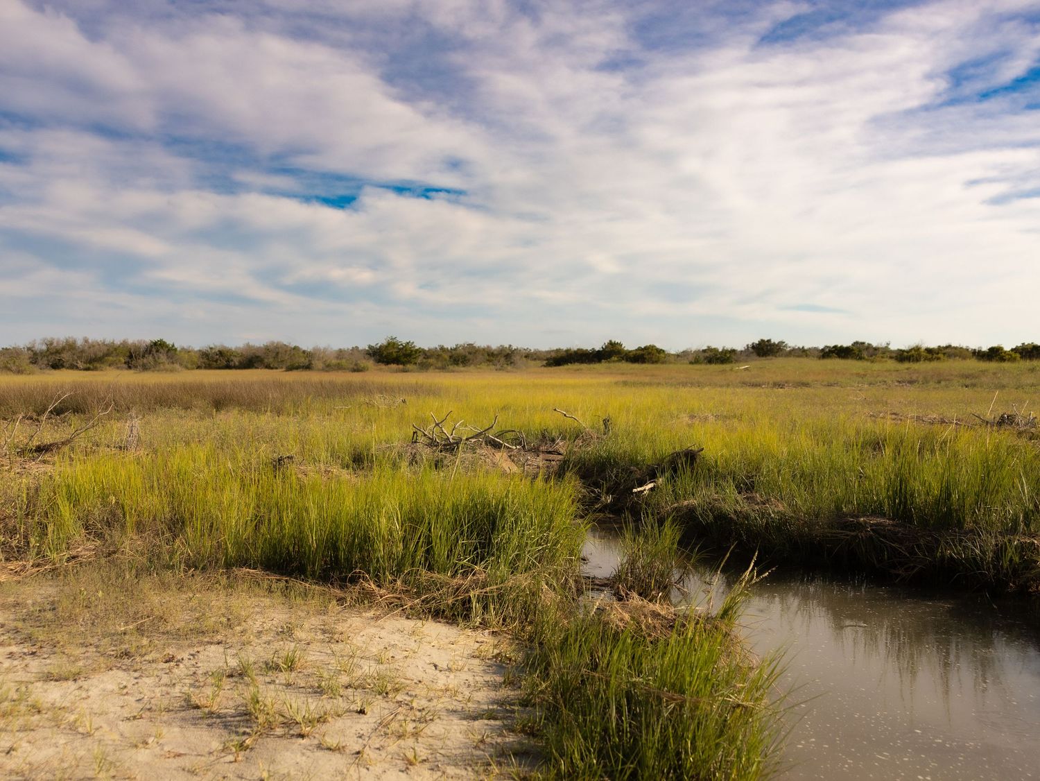Wilmington landscape photography