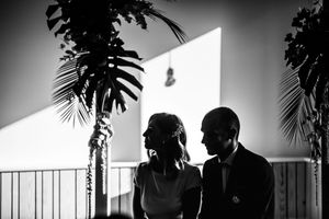 A silhouetted figure stands in a modern interior space with potted plants and geometric patterns on the wall.
