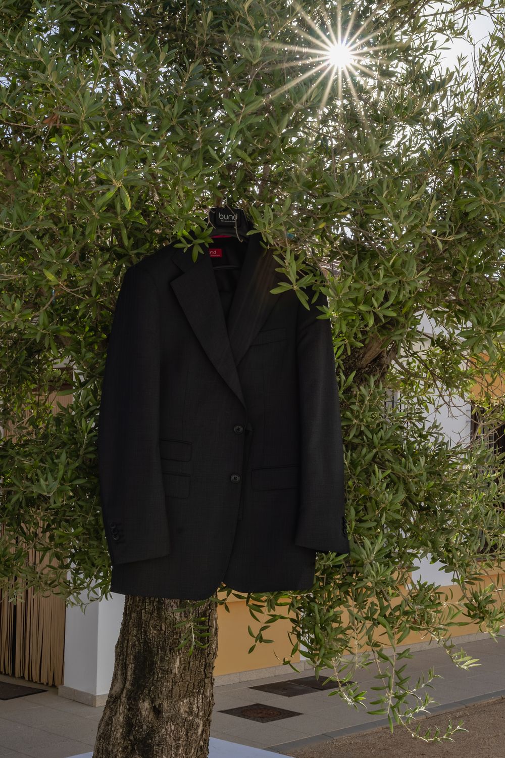 A black suit jacket hangs from the branch of an olive tree in an outdoor setting with sunlight filtering through.