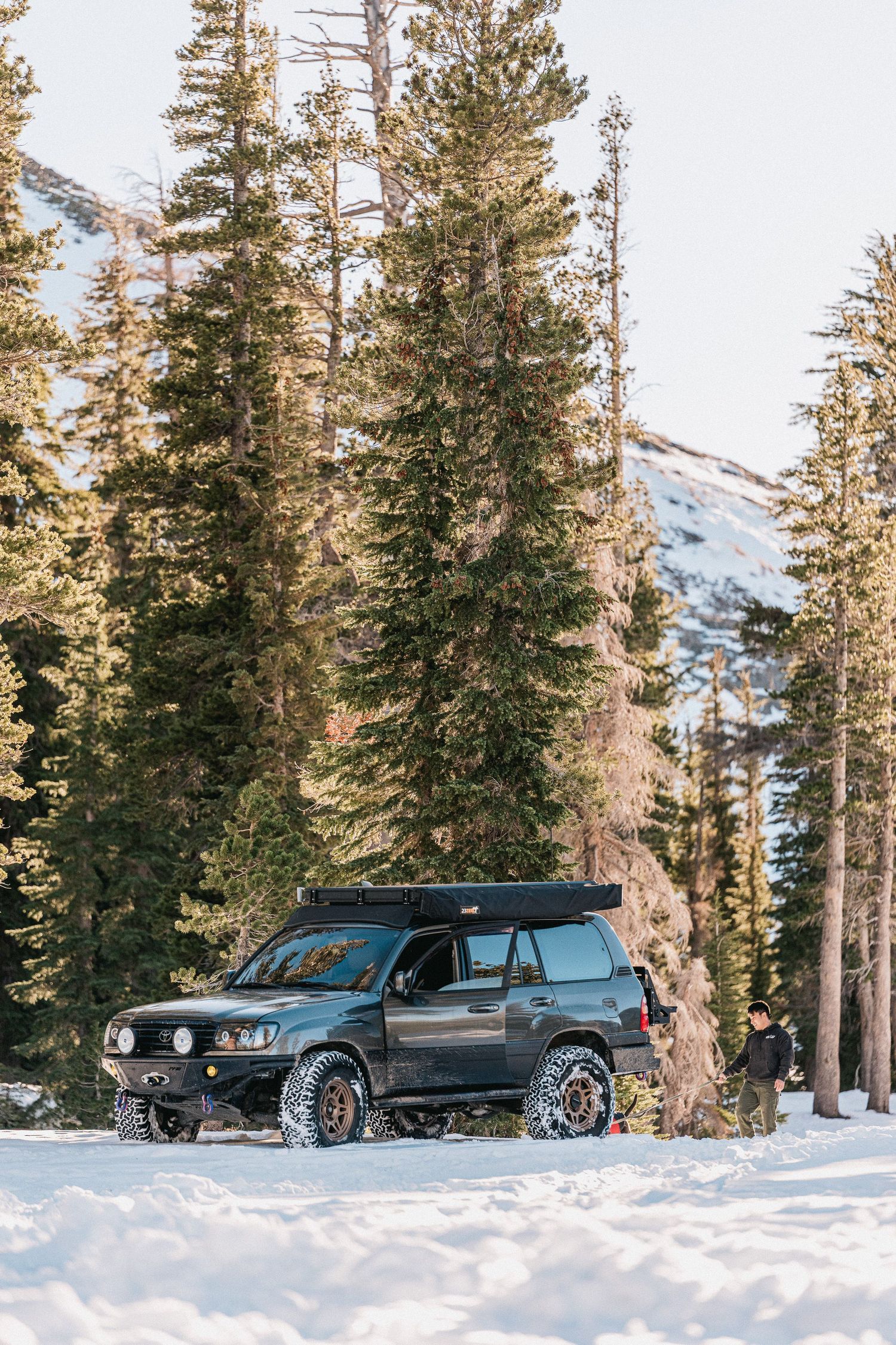 Black SUV parked in snowy winter landscape with tall pine trees and mountain backdrop at sunset.