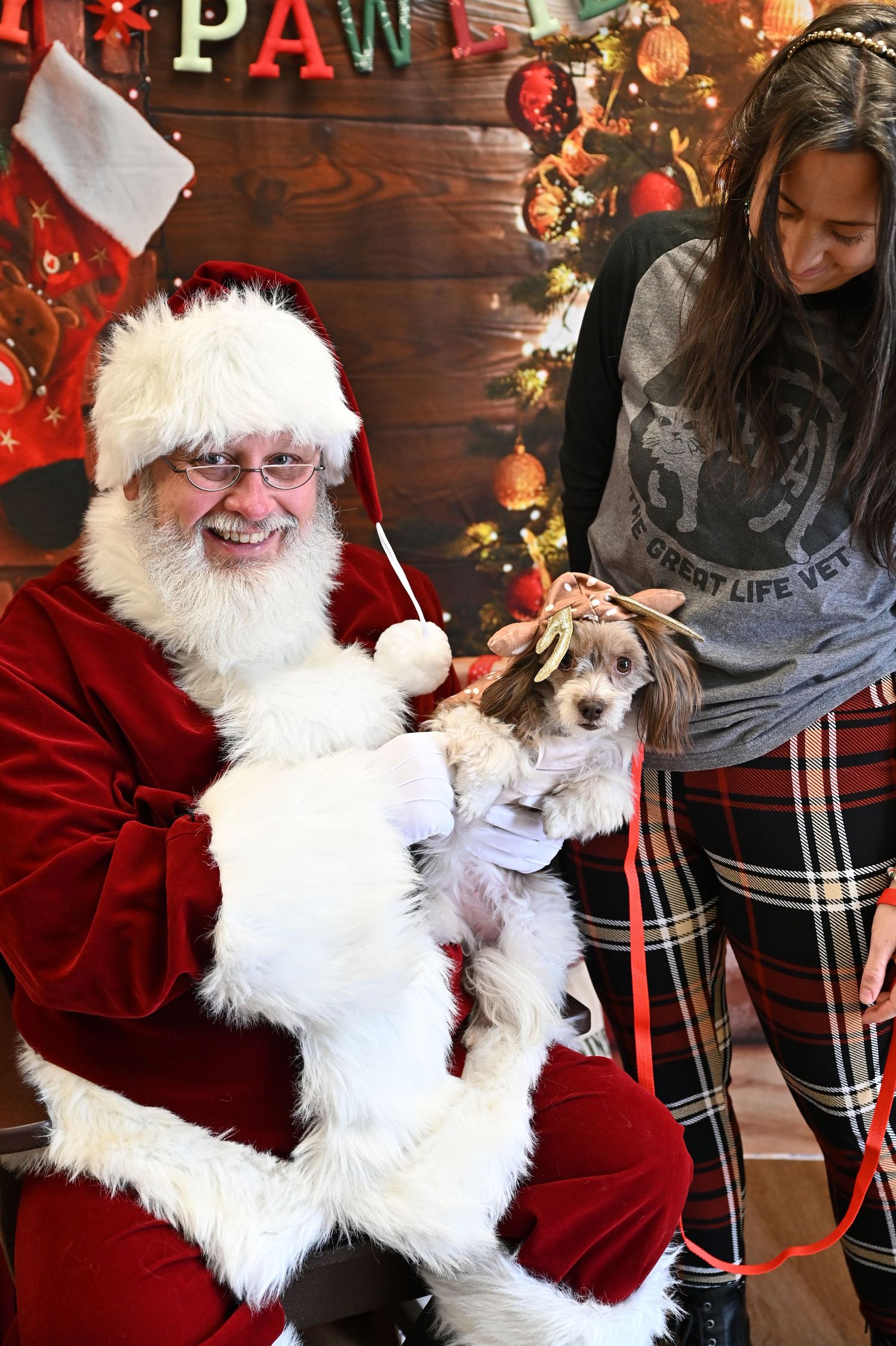 A small white dog sits with someone in festive holiday attire against a backdrop of Christmas decorations and lights.