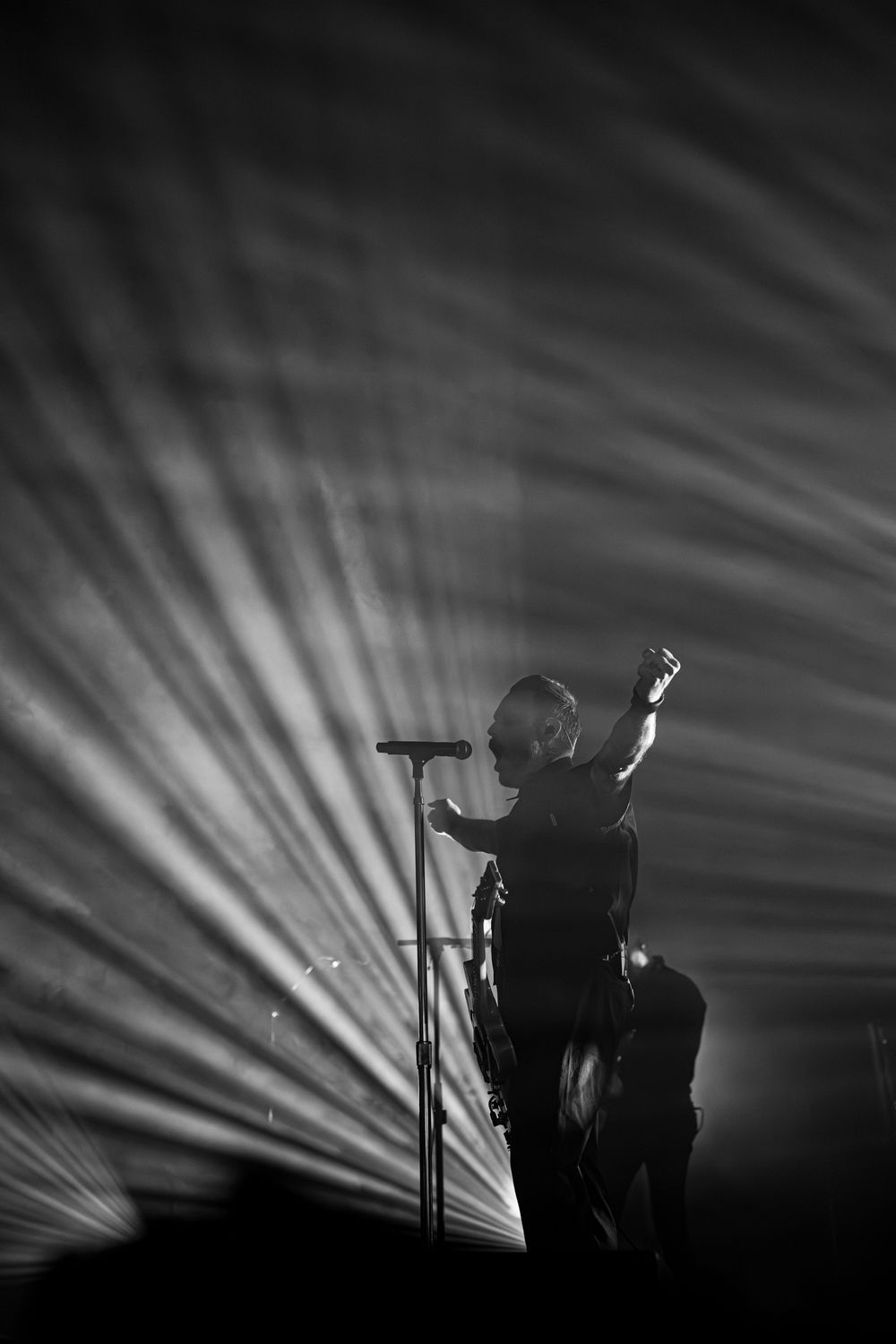concert photography