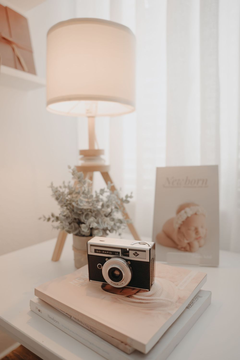 Vintage camera sits on books beside Eiffel Tower lamp and eucalyptus plant in a cozy neutral-toned setting.