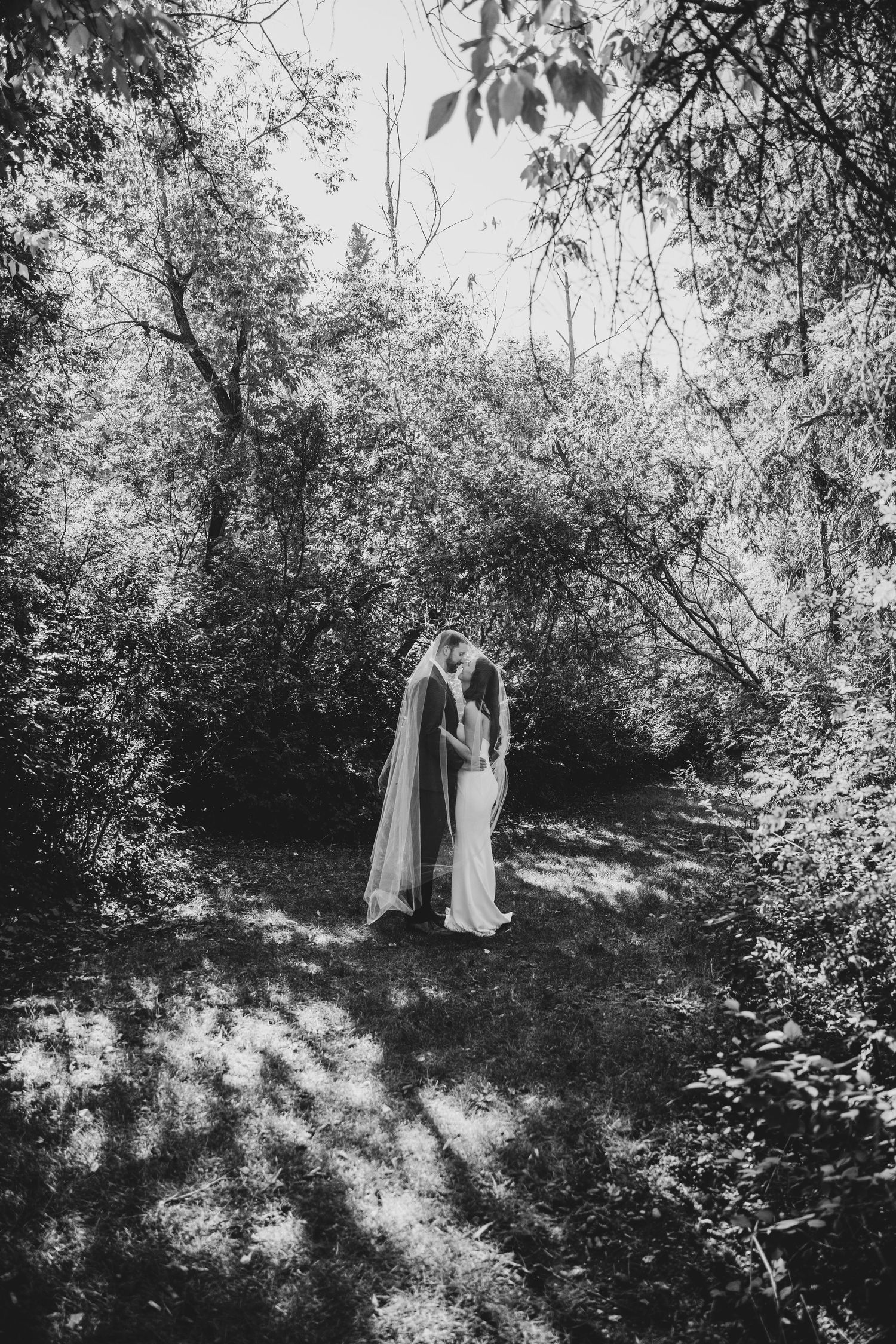 A romantic black and white photograph of a couple in elegant attire embracing on a sunlit forest path.